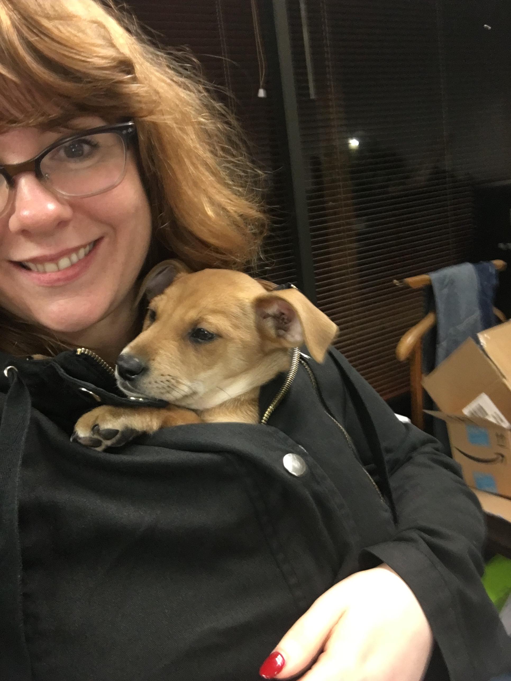 That time we brought a puppy home to foster