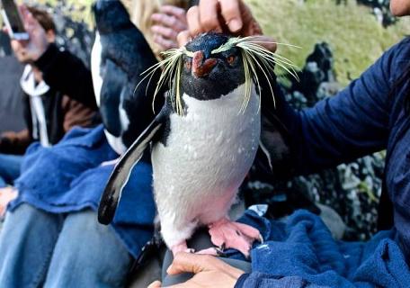 Penguin Encounter in Cape Town