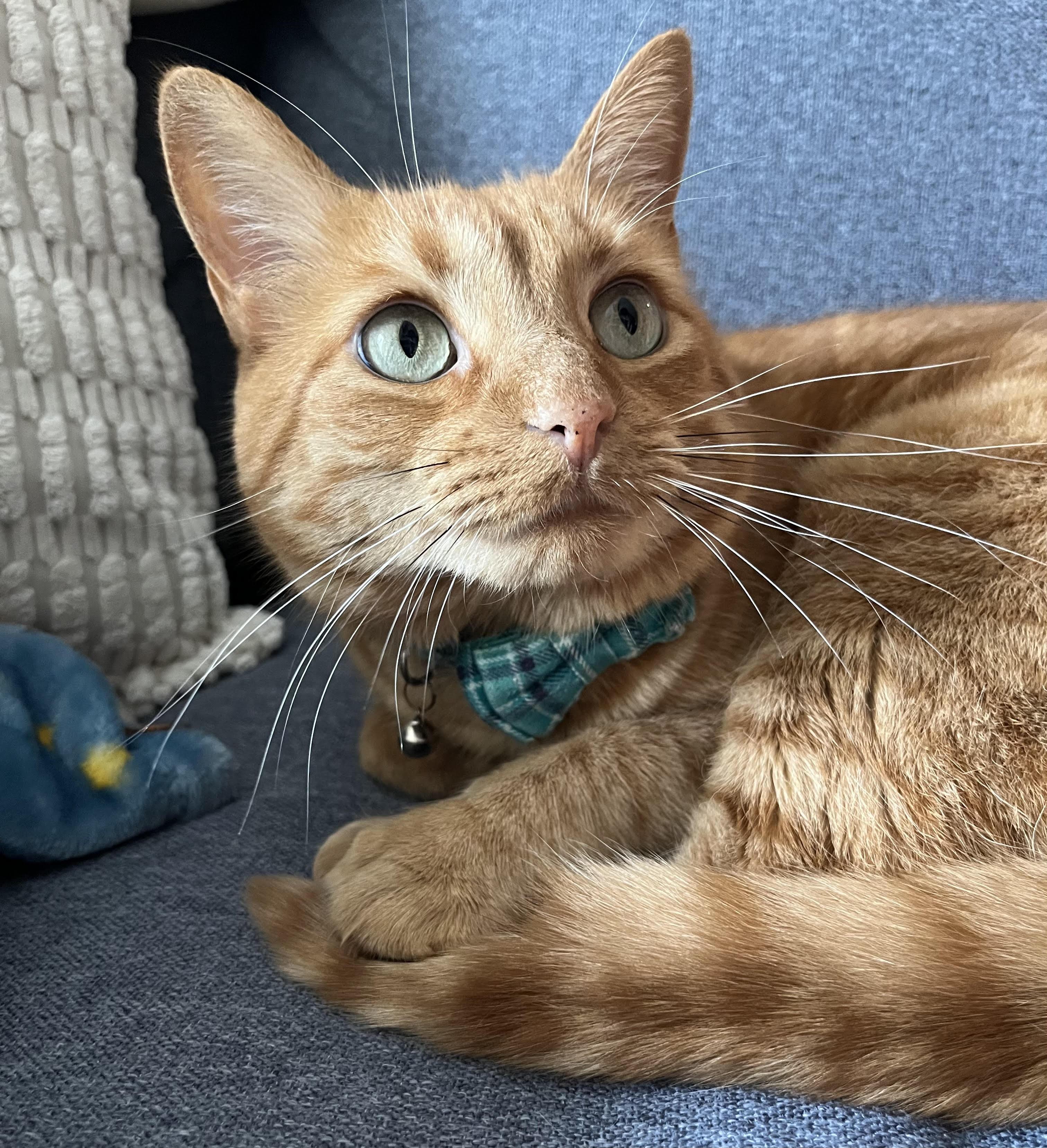 The Wedding Website of Gretchen Elizabeth Hiller and Brent Michael Williams