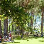 Werf Picnics / Werf  野餐