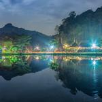 ✨ Kota Tinggi Firefly Park ✨