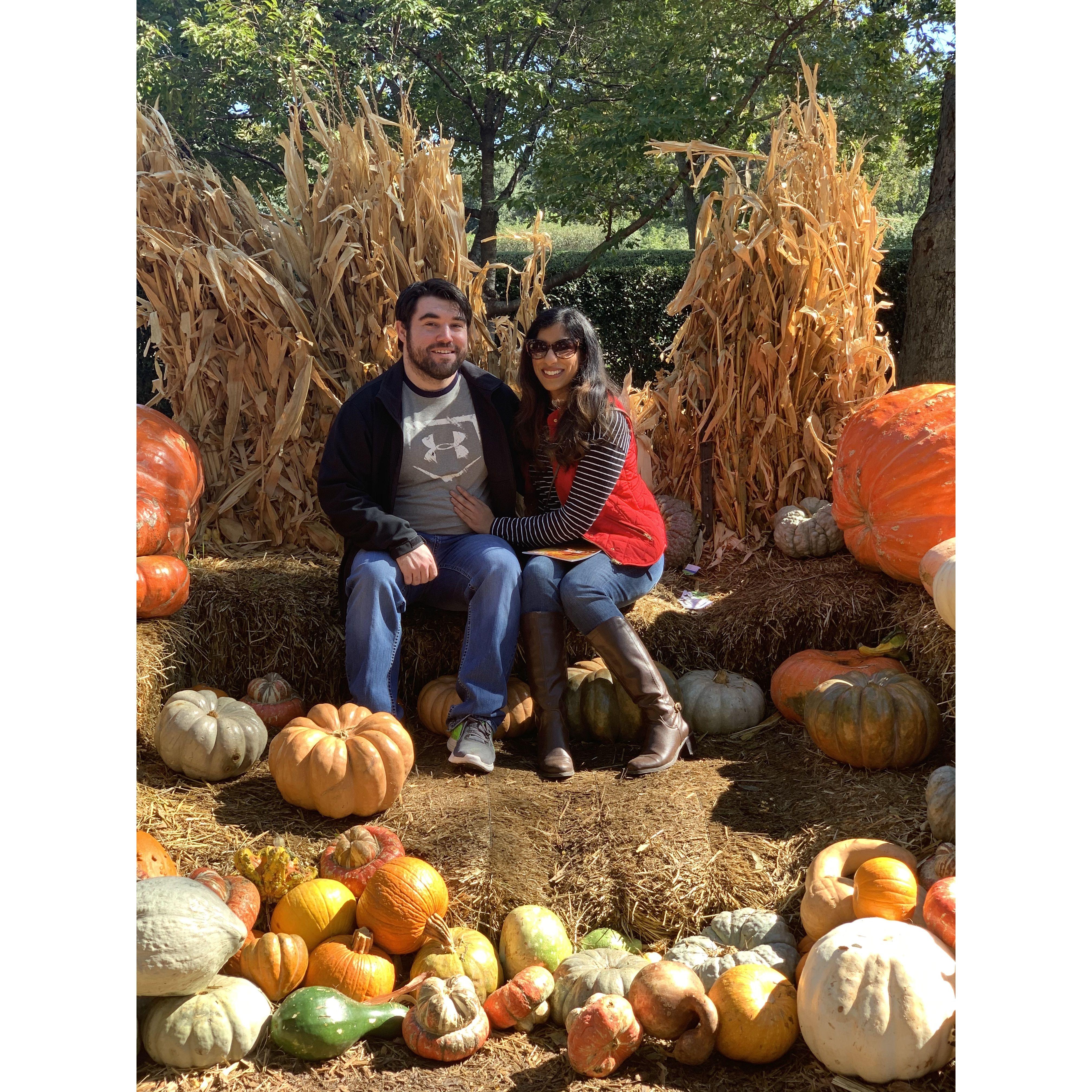 Enjoying the Pumpkin Festival at the Dallas Arboretum