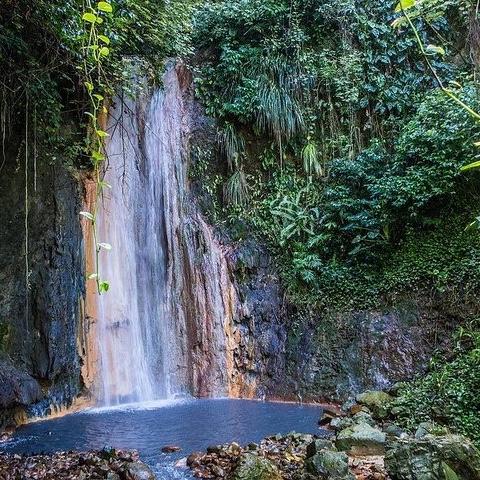 Waterfall Experience in Saint Lucia