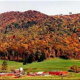 Farm, Wedding Location