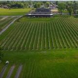 Saddlehill Winery