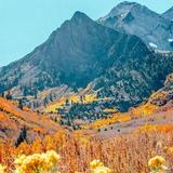 Sierra Nevada Mountains