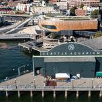 Seattle Aquarium