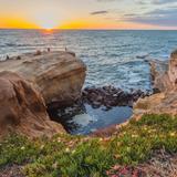 Sunset Cliffs