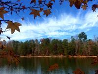 McDowell Nature Preserve
