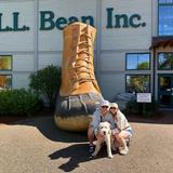 L.L.Bean Flagship