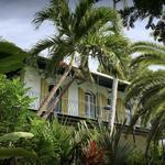 The Ernest Hemingway Home and Museum