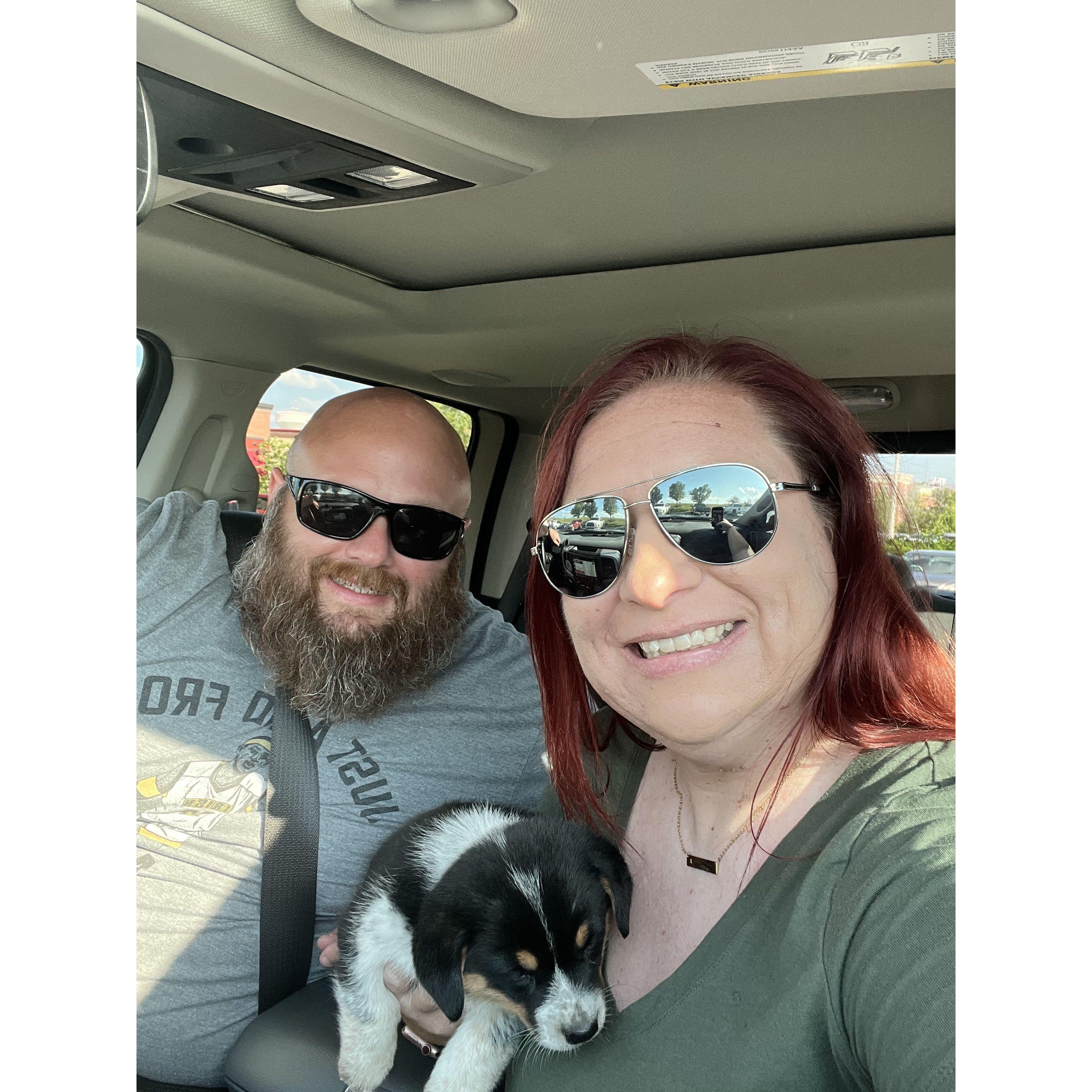 The day we got our Cowboy Corgi...Kobe!