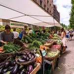 Portland Farmers Market - King