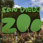 Do - San Diego Zoo