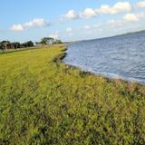 Lake Somerville State Park & Trailway