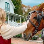 Cindy's Riding Stable