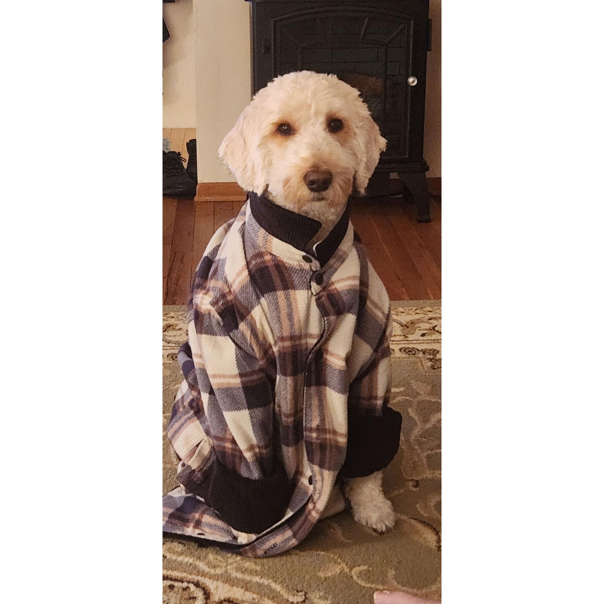 Lucy loves when Julia plays dress-up with her