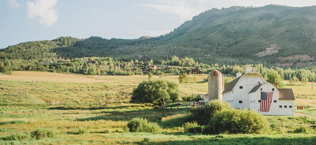 The Wedding Website of Joe Coleman and Peyton Purcell