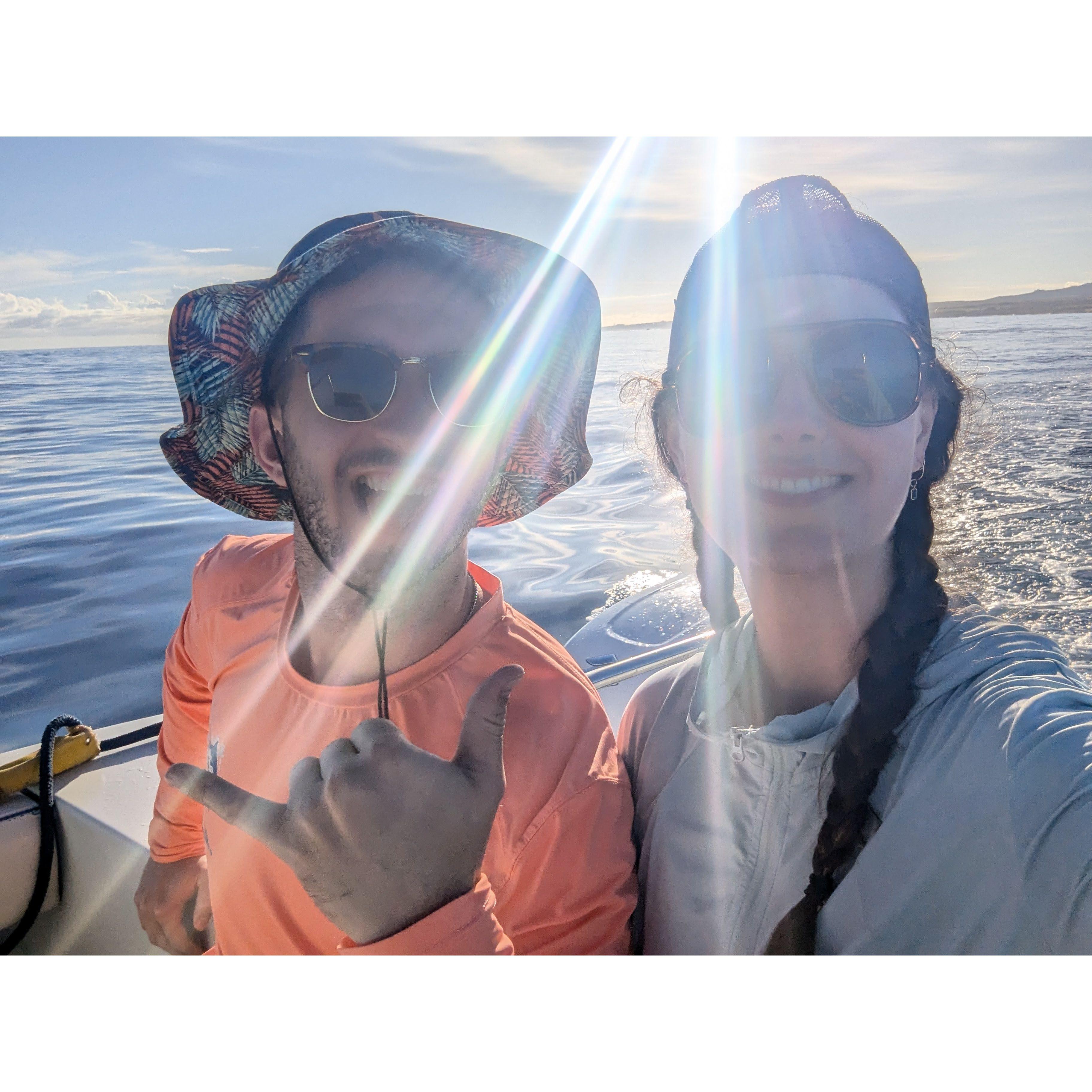 We saw 100's of Spinner Dolphins on this incredible catamaran trip in Kauai, Hawaii.