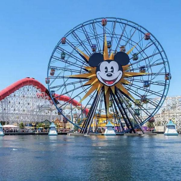 Disneyland Passes