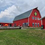 Duesterbeck's Brewing Company