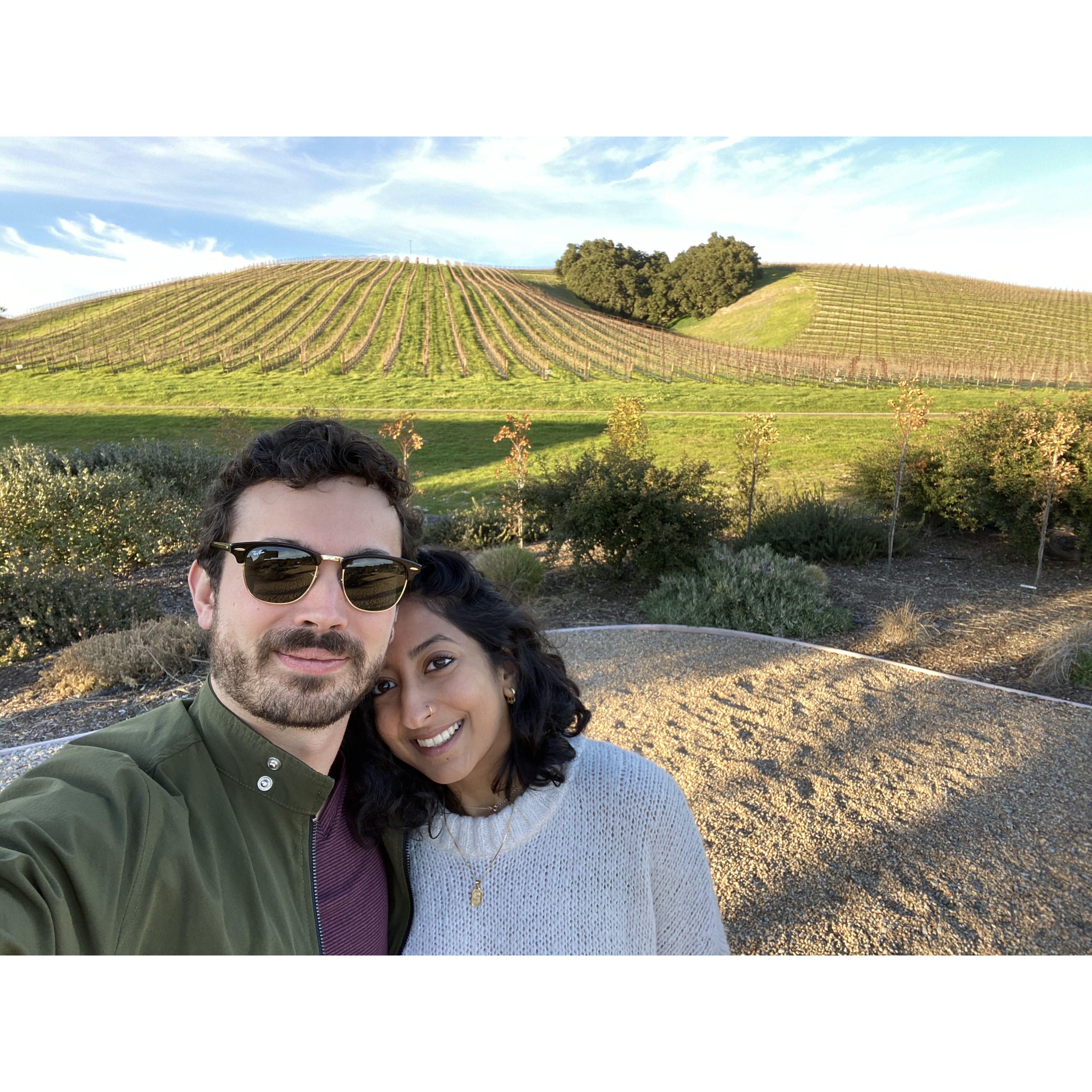 Spotted at a winery on our first trip to San Luis Obispo - our favorite place. We couldn't believe there was a heart shaped tree in one of the vineyards we visited. How fitting!!