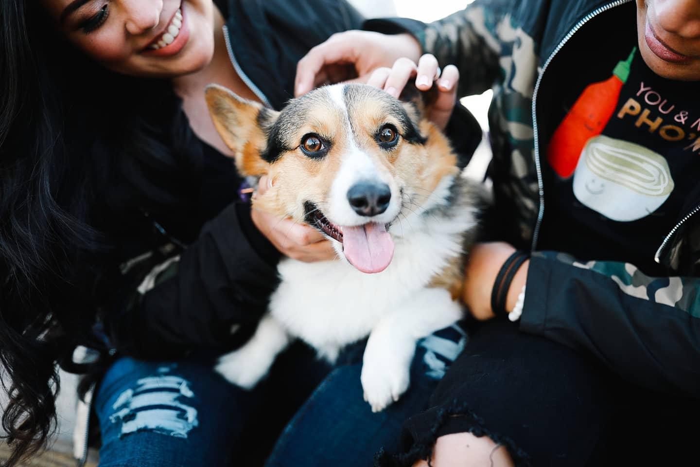 ce5a2c9a-f9e6-4fe9-9840-7fd1969e087f