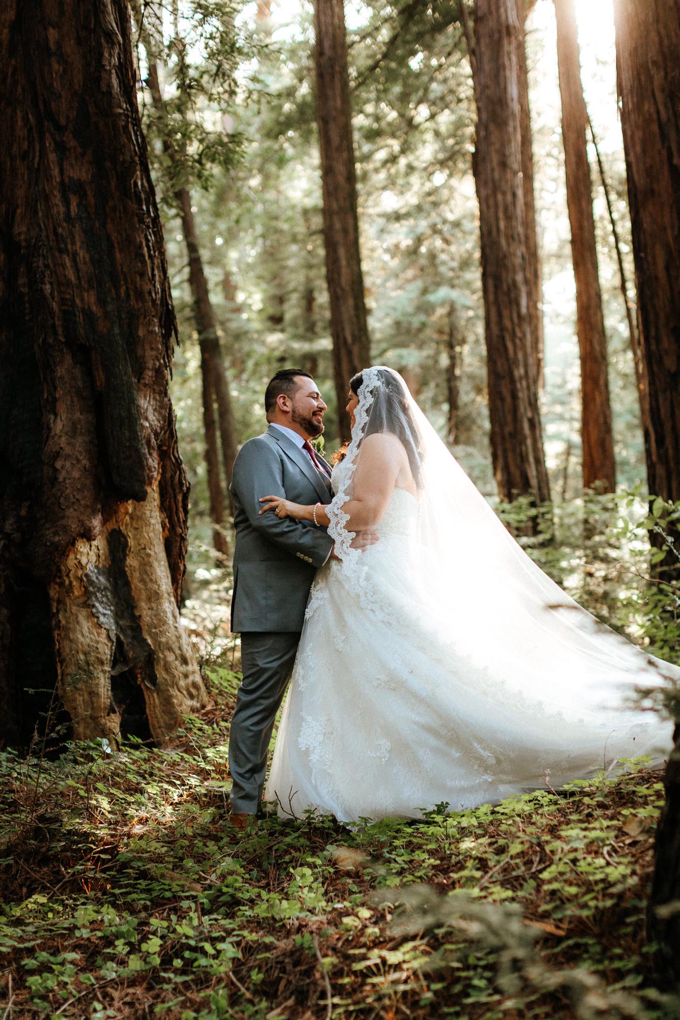 Magic in the Redwoods!