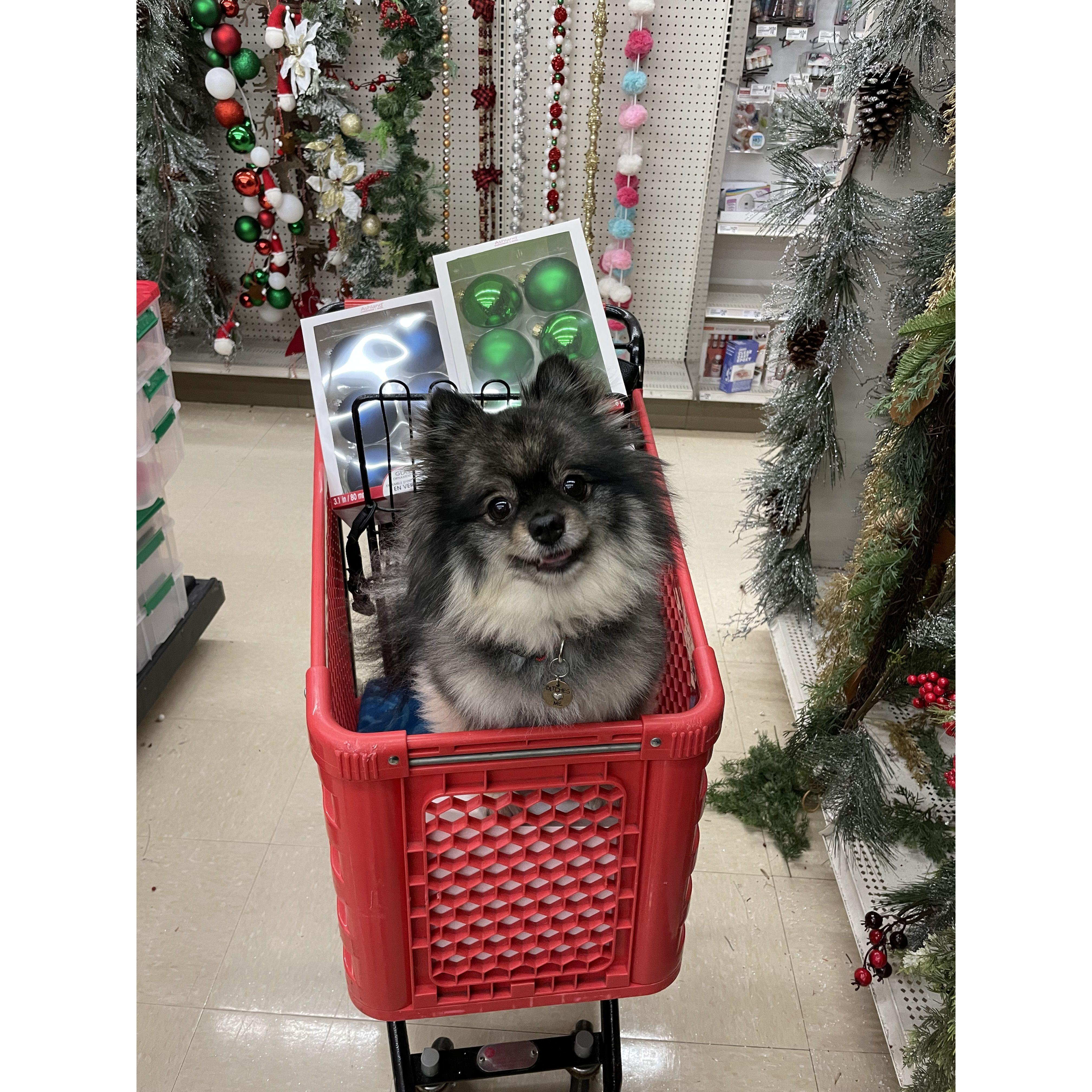 Our shopping buddy