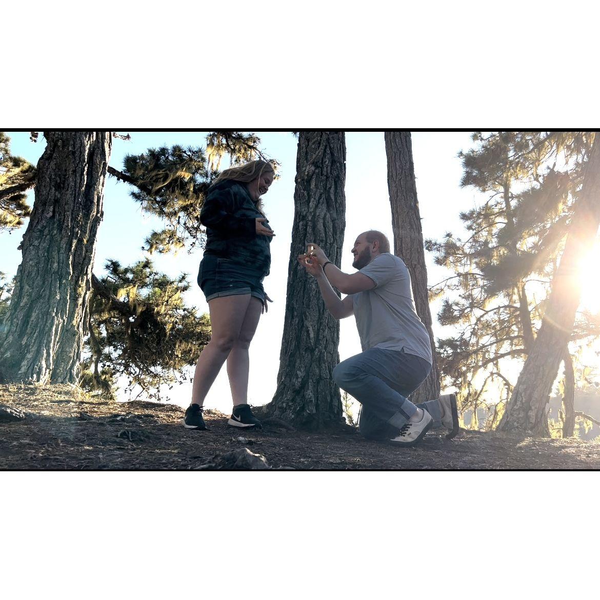 We got engaged at Russian Gulch in Fort Bragg