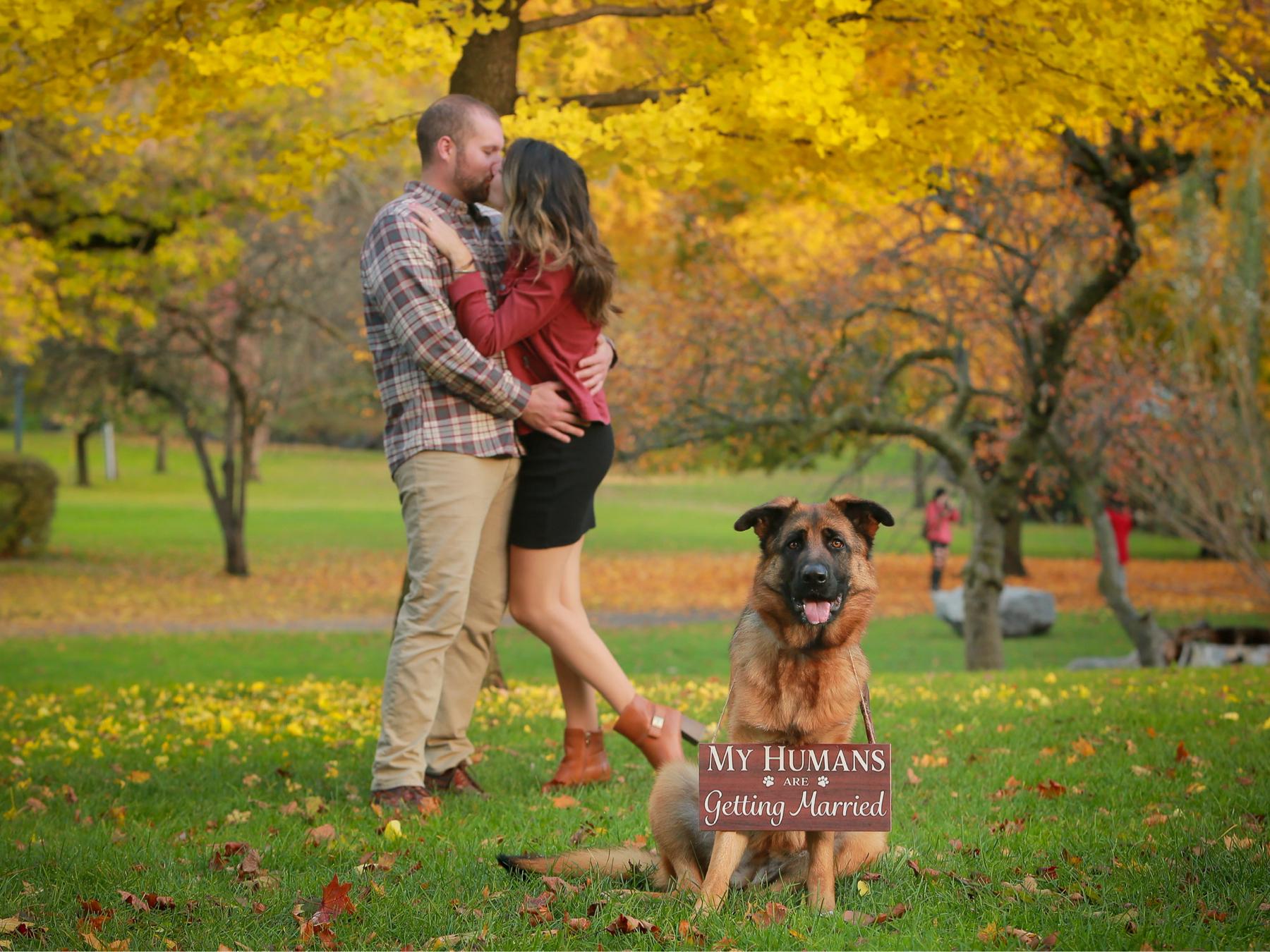 The Wedding Website of Erica Nirsberger and Adam Cox