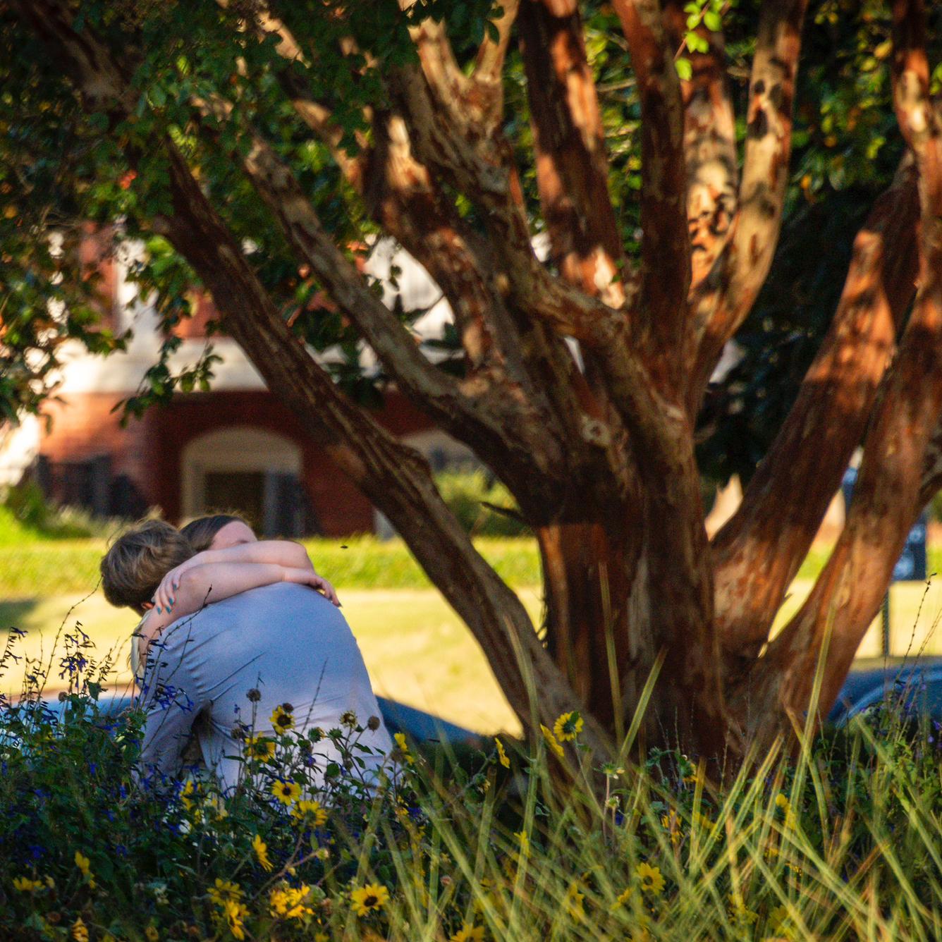 The Proposal