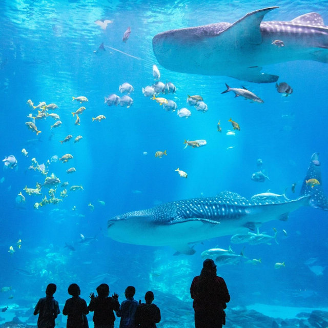 Georgia Aquarium Aqua Pass For Two