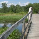 White Memorial Conservation Center