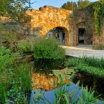 Lady Bird Johnson Wildflower Center