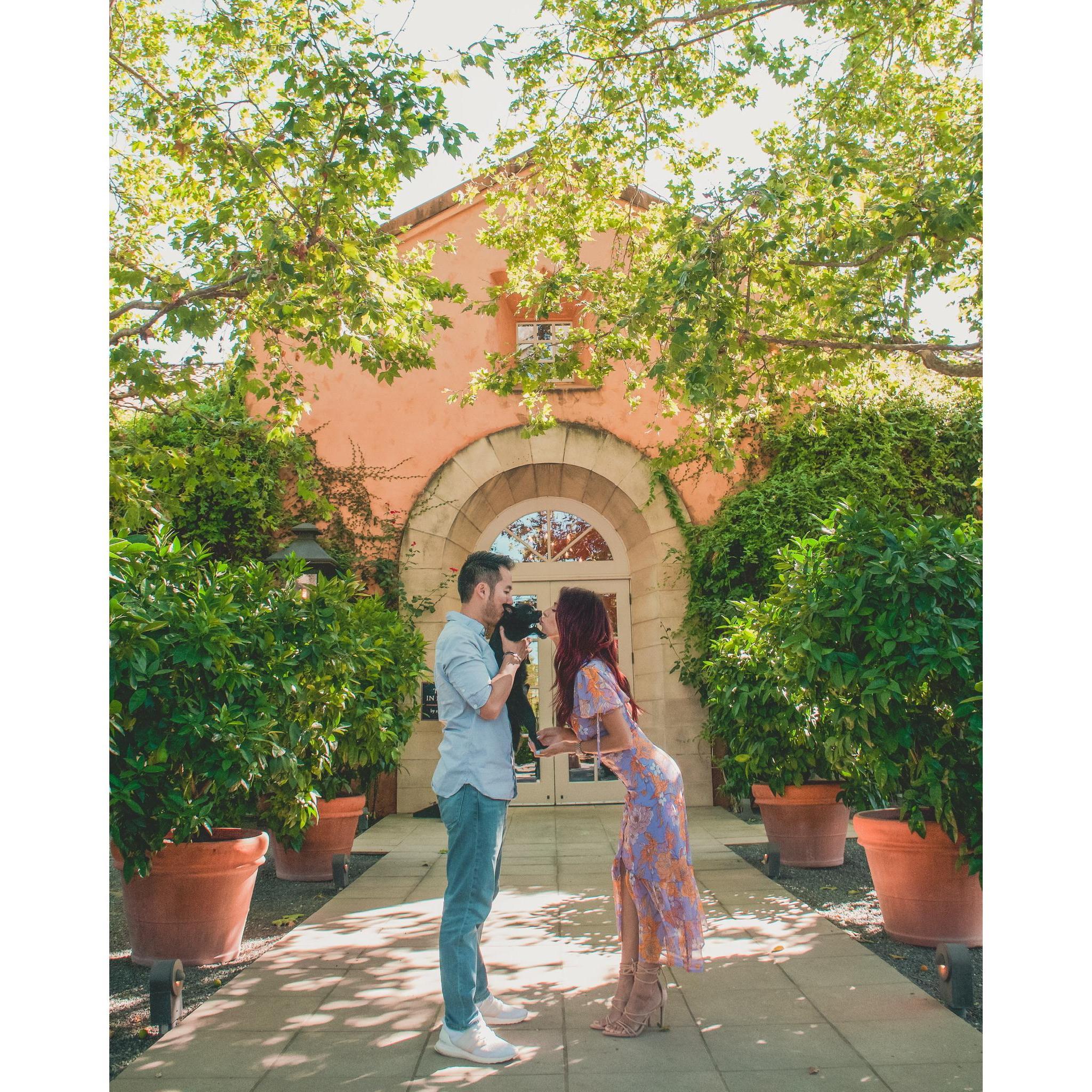 First Wine Tasting trip To Napa with Mozart