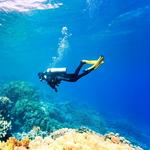 Scuba Diving