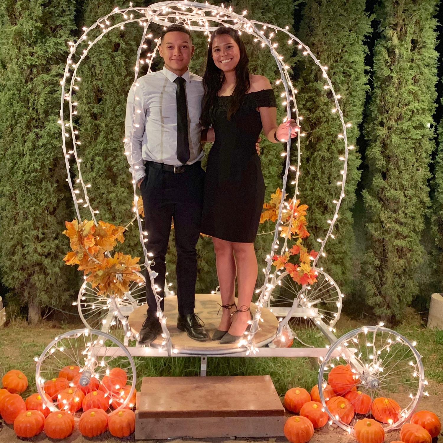 Arianna’s quince
June 2019