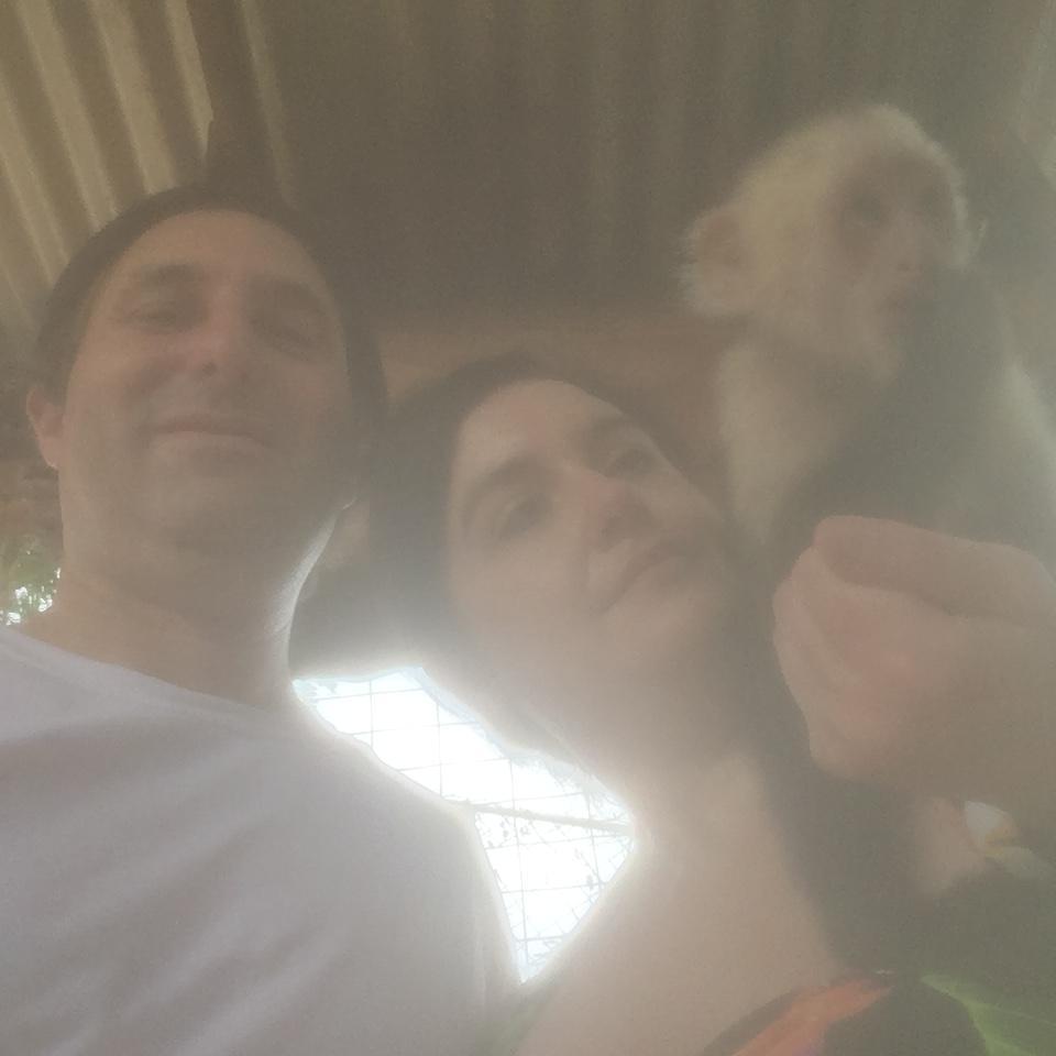 The monkeys climb on your head and try and steal your wallet.