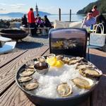 Eat Oysters at Taylor Shellfish Farms