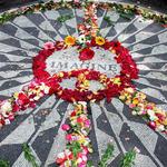 Strawberry Fields