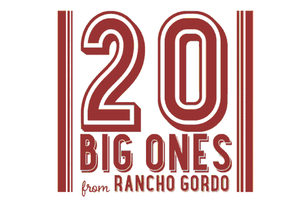 Rancho Gordo Beans: 20 Big Ones