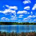 Marsh Creek State Park