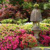 Portland Japanese Garden