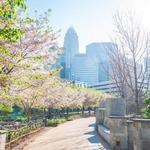 Romare Bearden Park