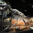 Tellus Science Museum