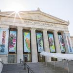 Shedd Aquarium