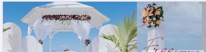 The Wedding Website of Natalia Neagu and Colby Elder