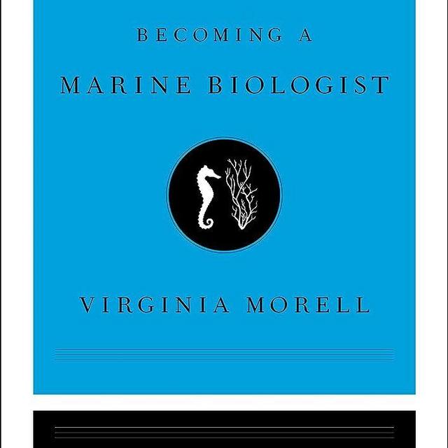 Becoming a Marine Biologist (Masters at Work)