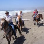 Horse N Around Trail Rides